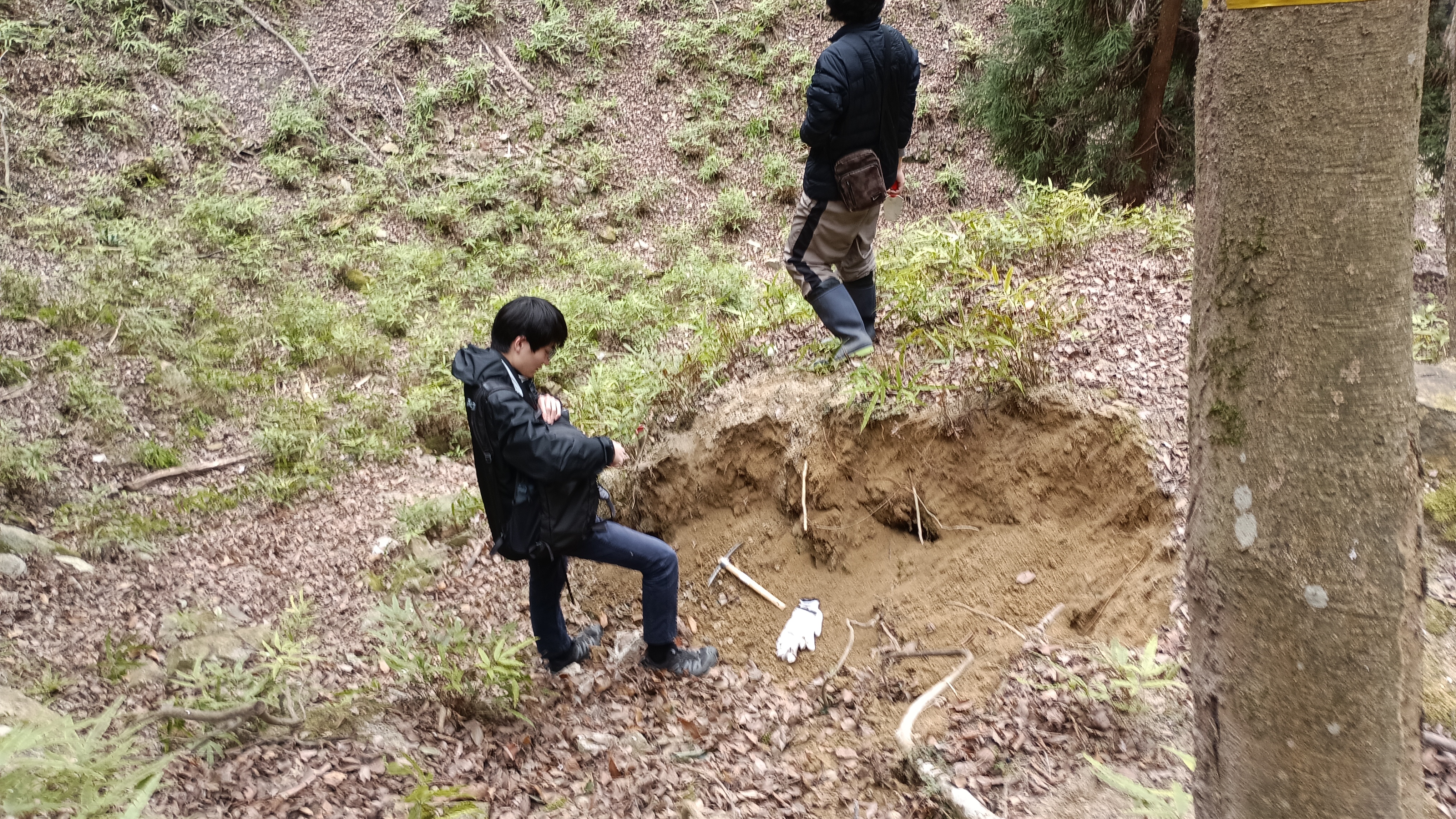 京都大学野生生物研究会