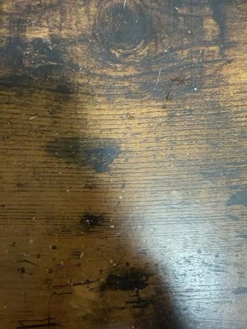 軽音学部　Swing brothers jazz orchestra 