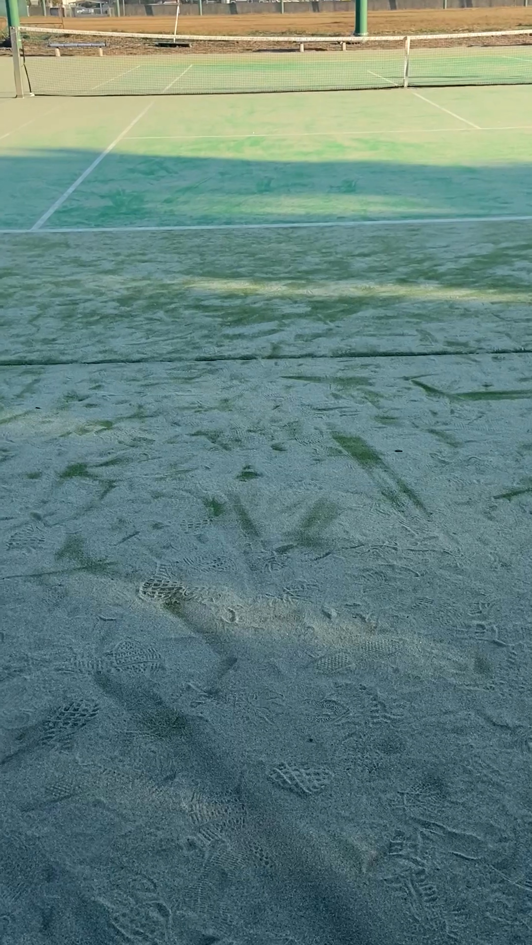 ソフトテニス同好会