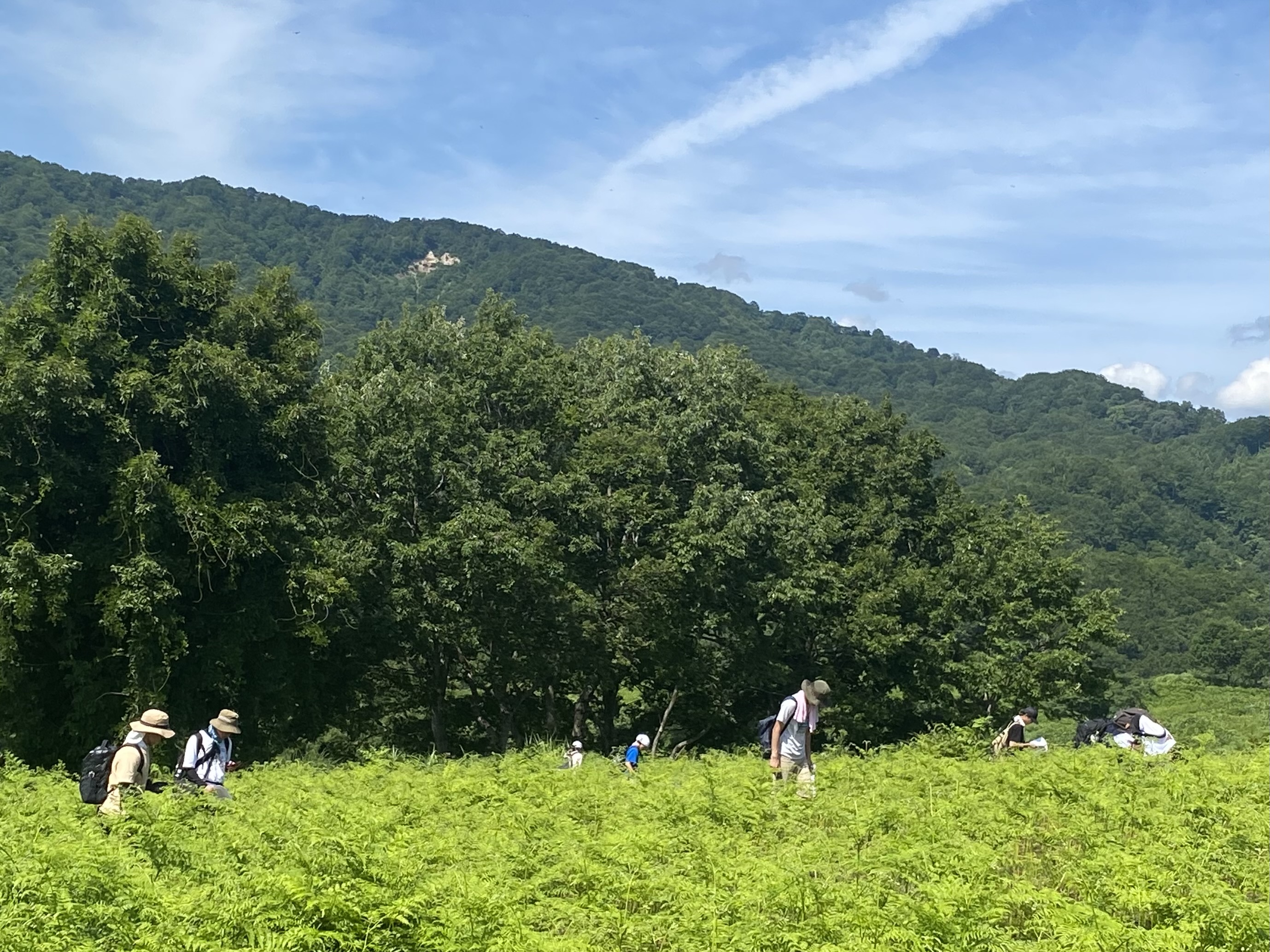 生物学研究会