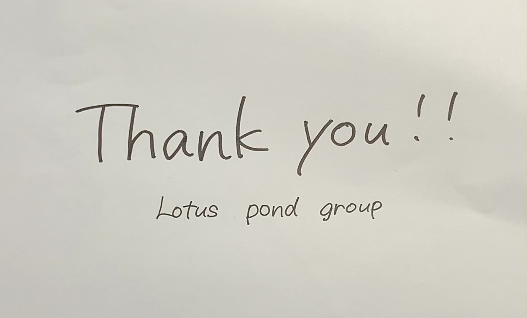 Lotus Pond Group