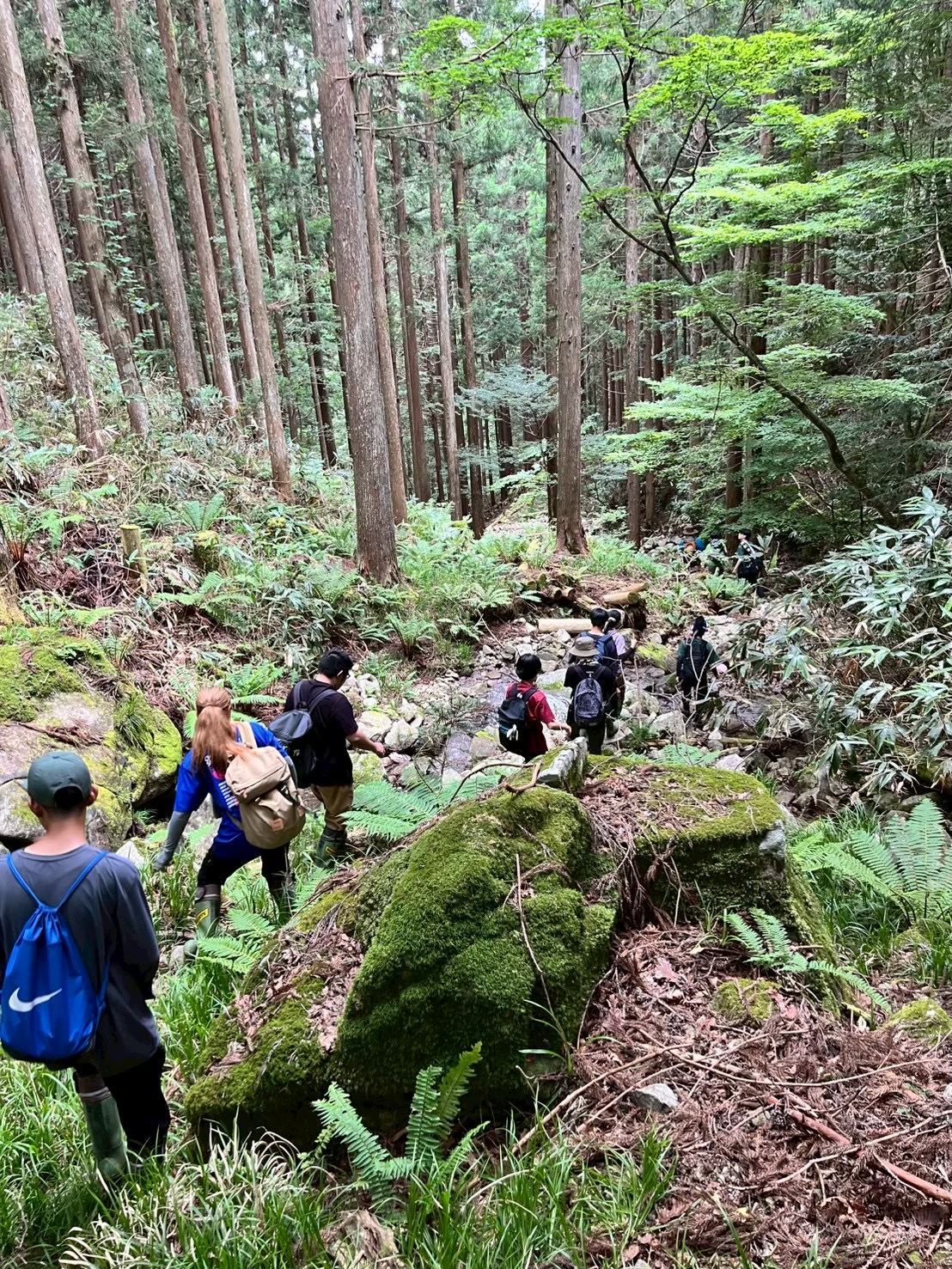 岐阜大学　ツキノワグマ研究会