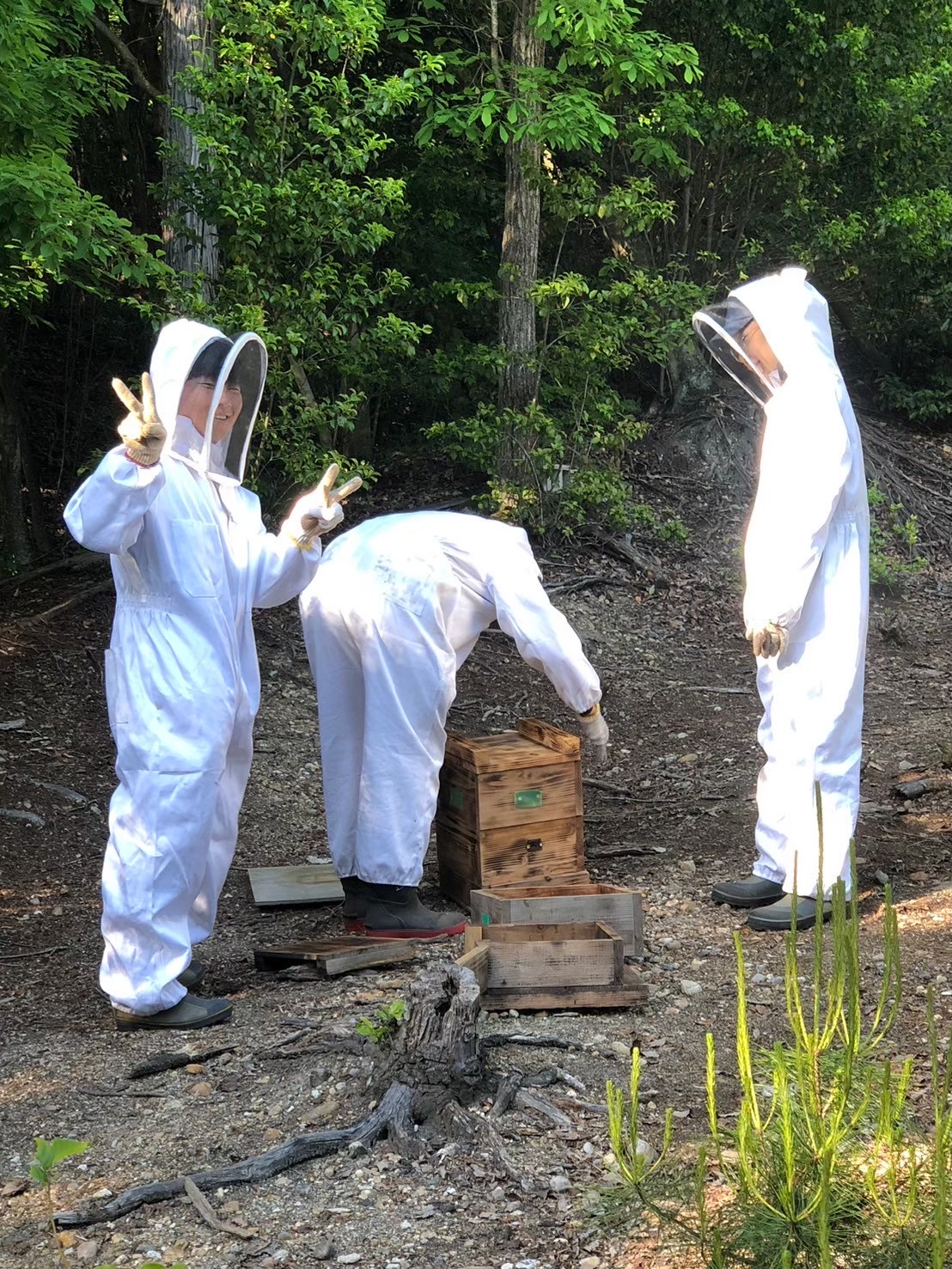 ＜龍谷大学＞ニホンミツバチ研究会Beeわーこ！