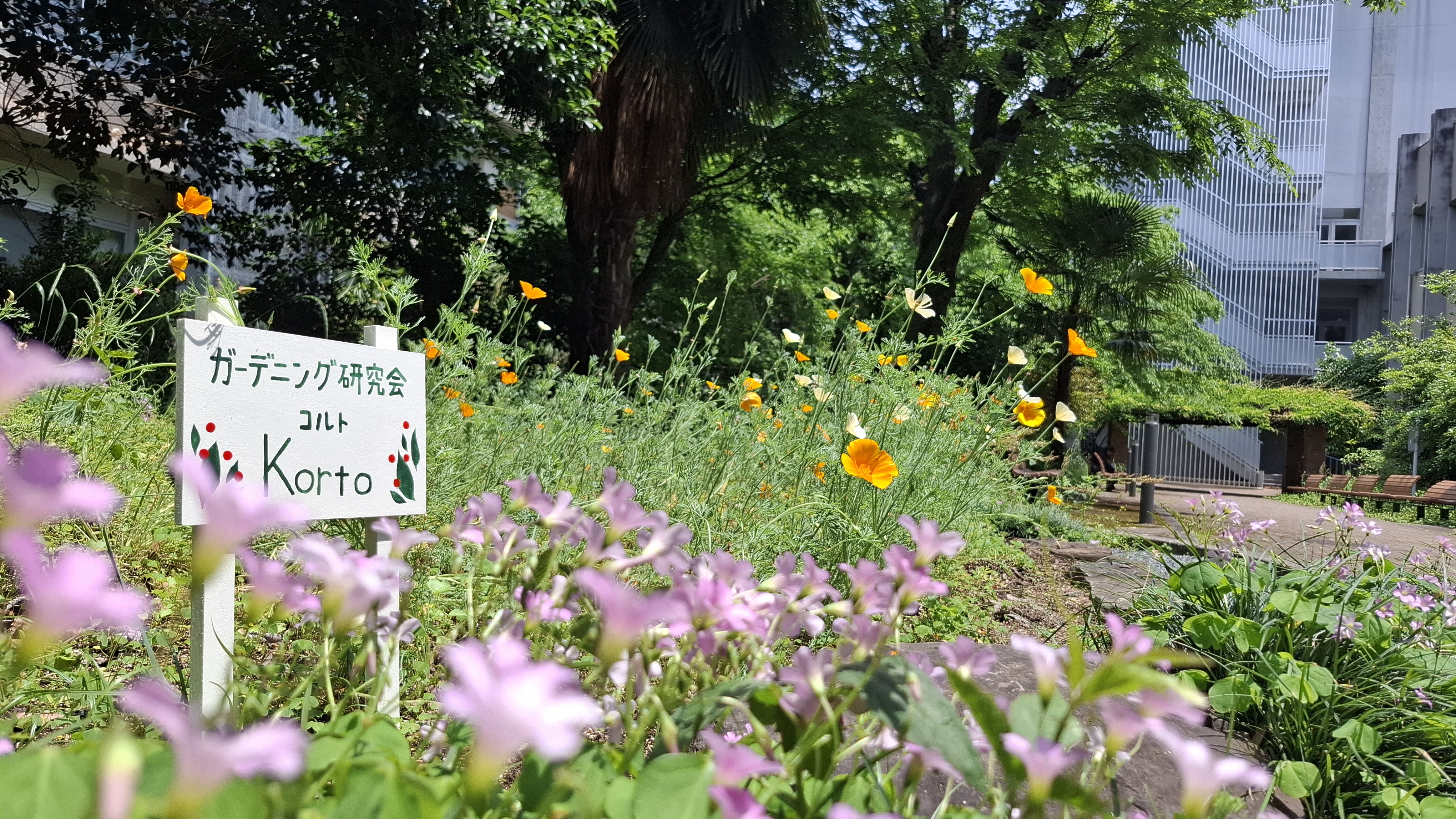 長崎大学 ガーデニング研究会「コルト」