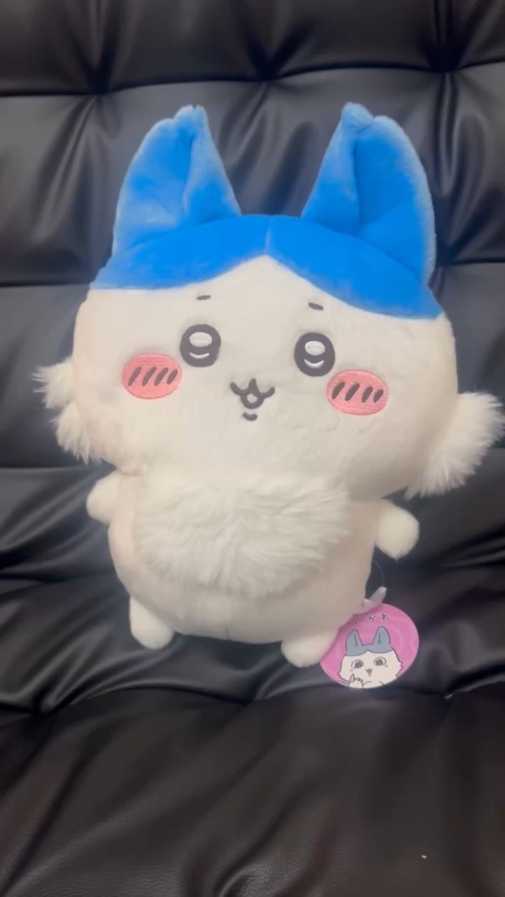 滋賀医科大学サッカー部