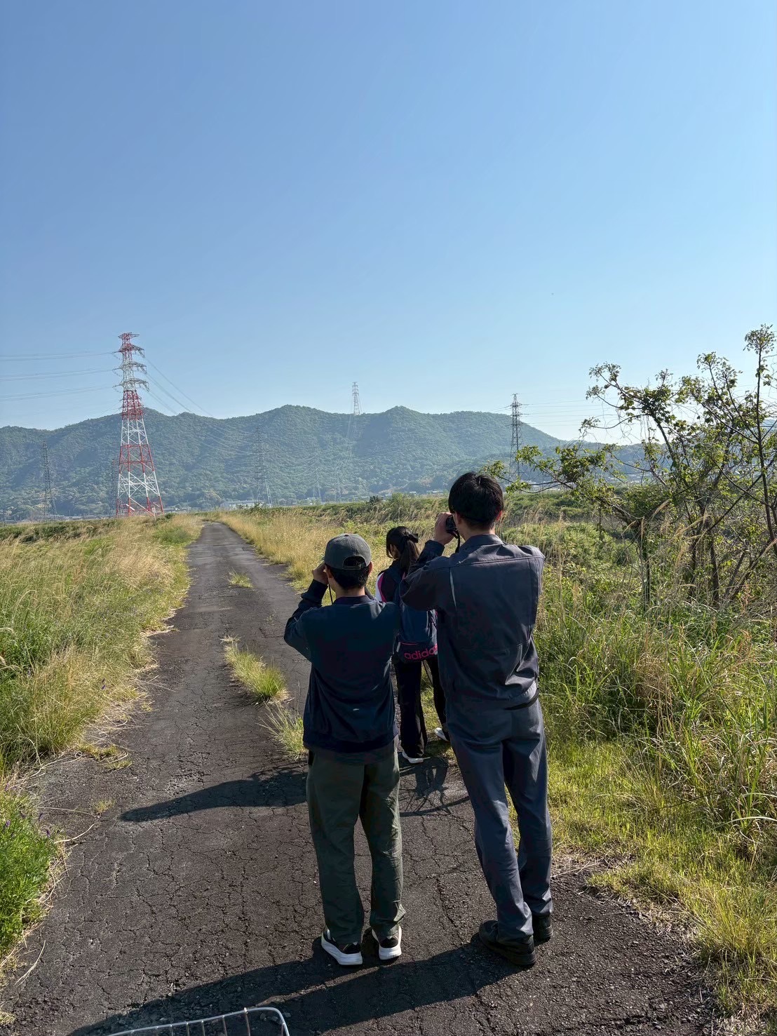 岐阜大学野生生物同好会　カテナビタ