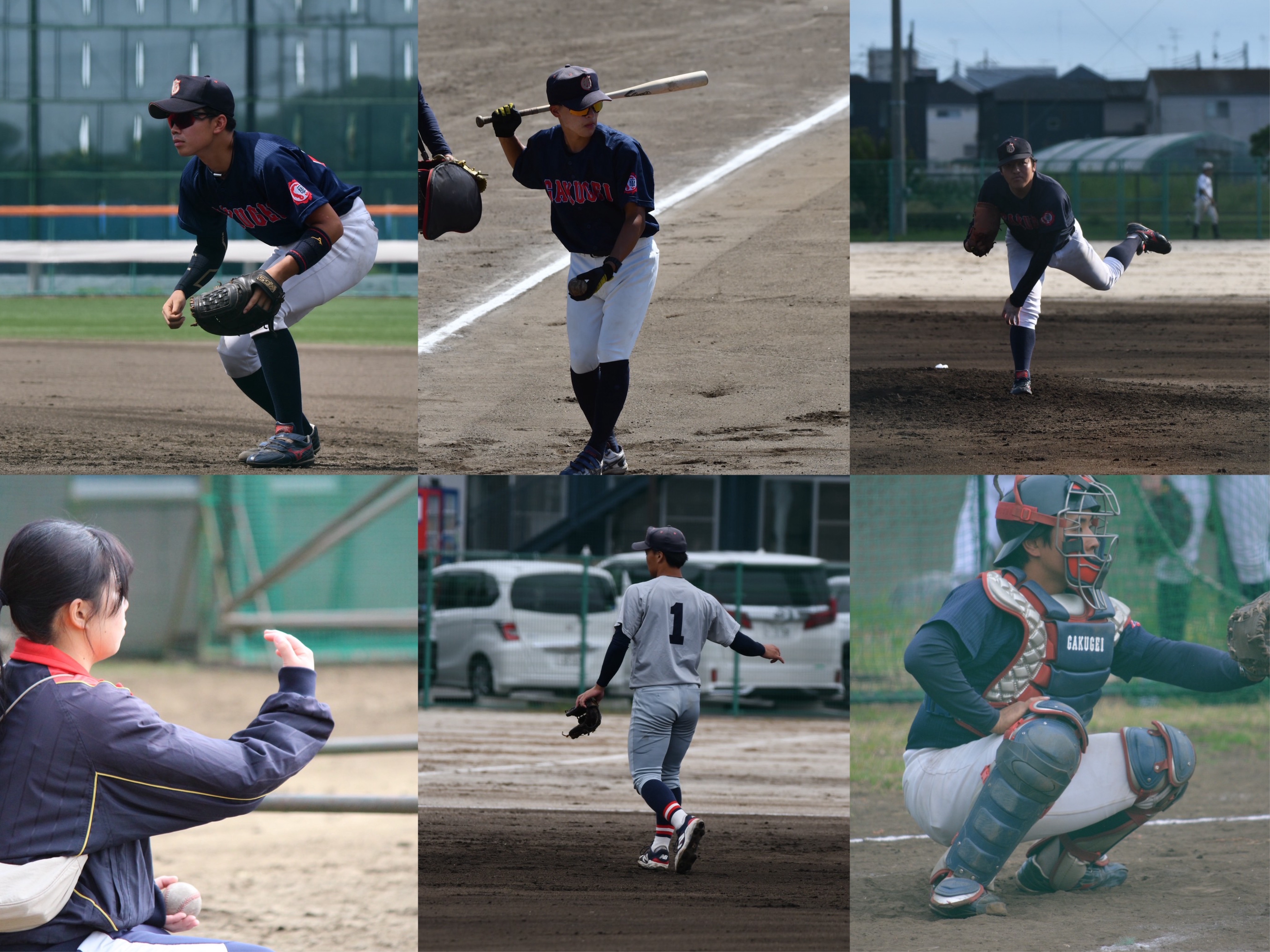 東京学芸大学硬式野球部