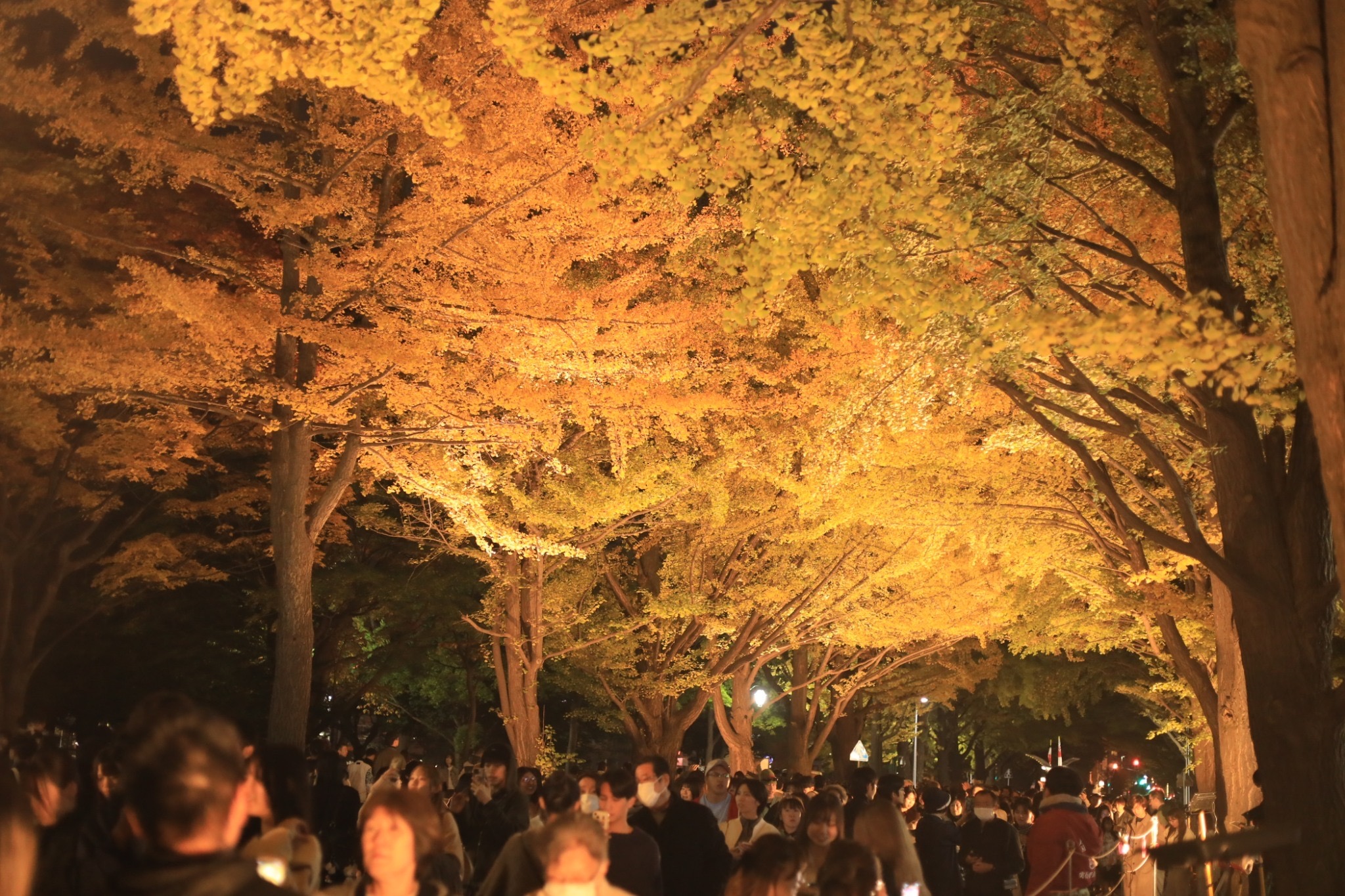 北大金葉祭実行委員会
