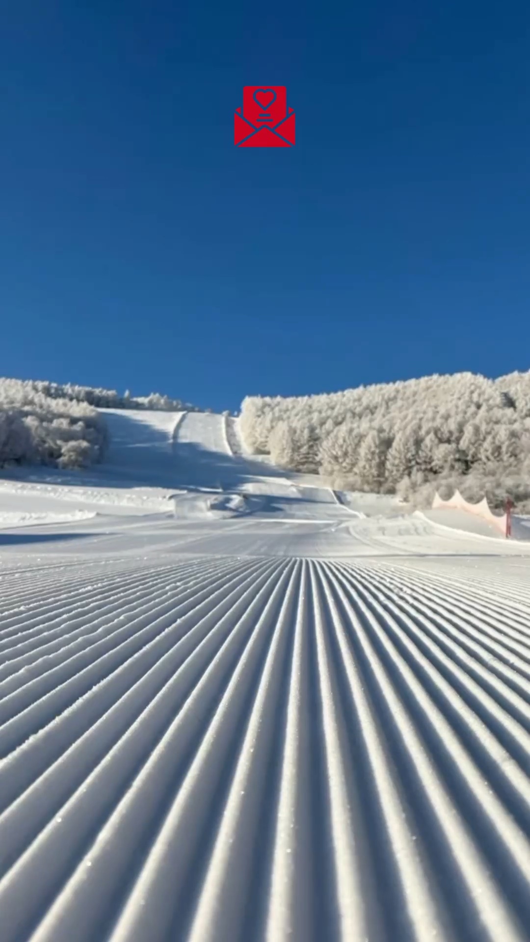 岡山大学医学部競技スキー部