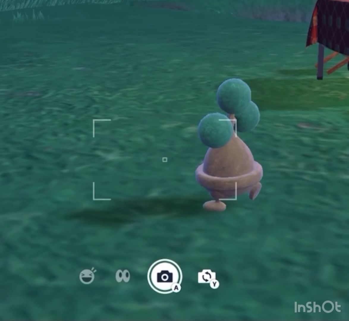 ポケモンサークル「がんじょう！」