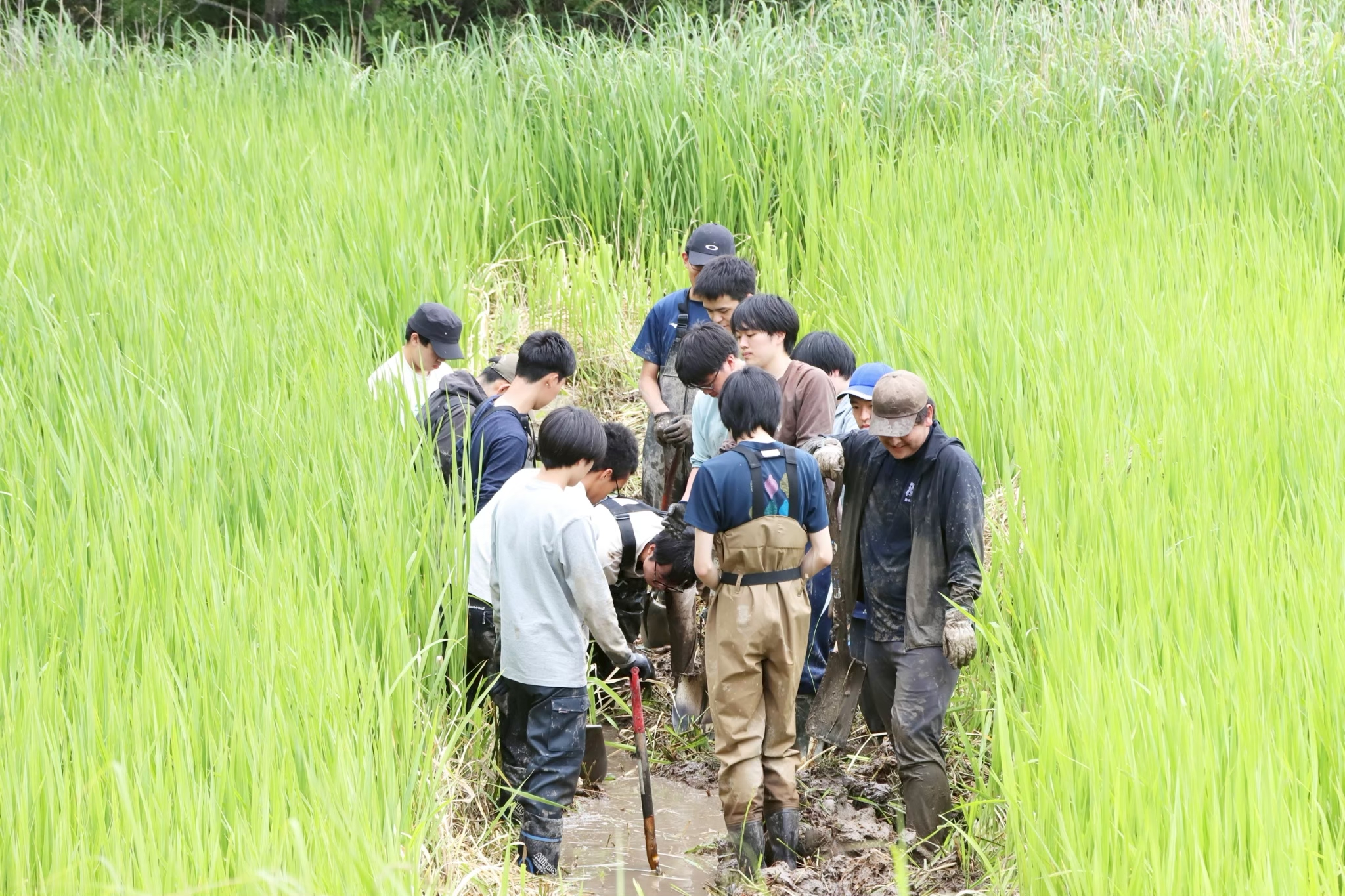 島根大学総合環境サークルエコロジー・ネットワーク