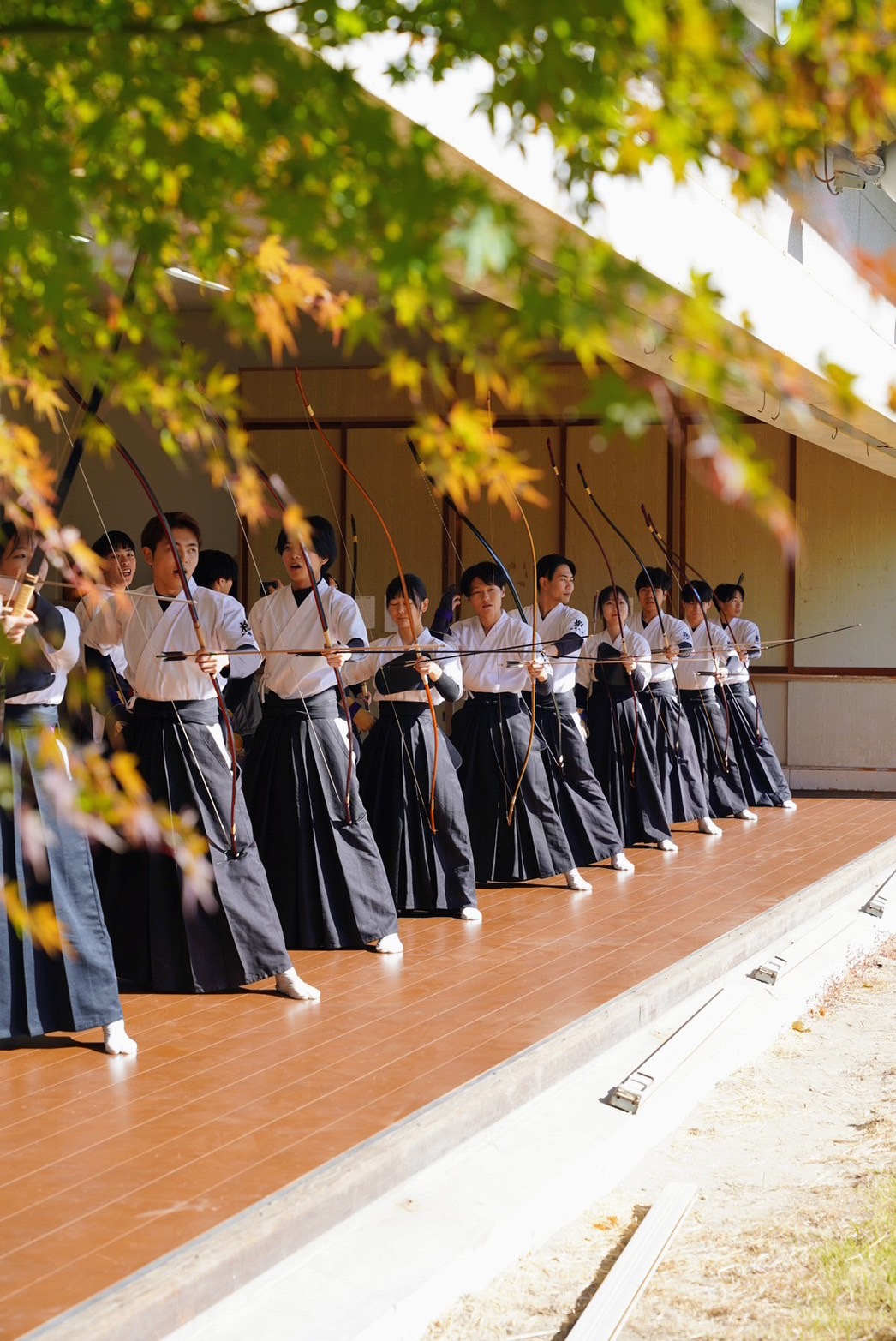 広島大学体育会弓道部