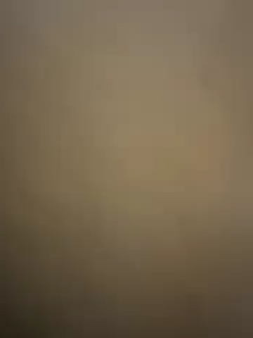 バレーボール部