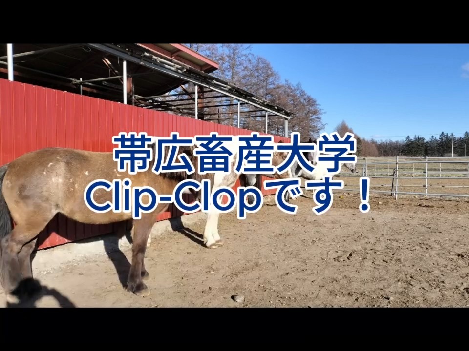 Clip-Clop