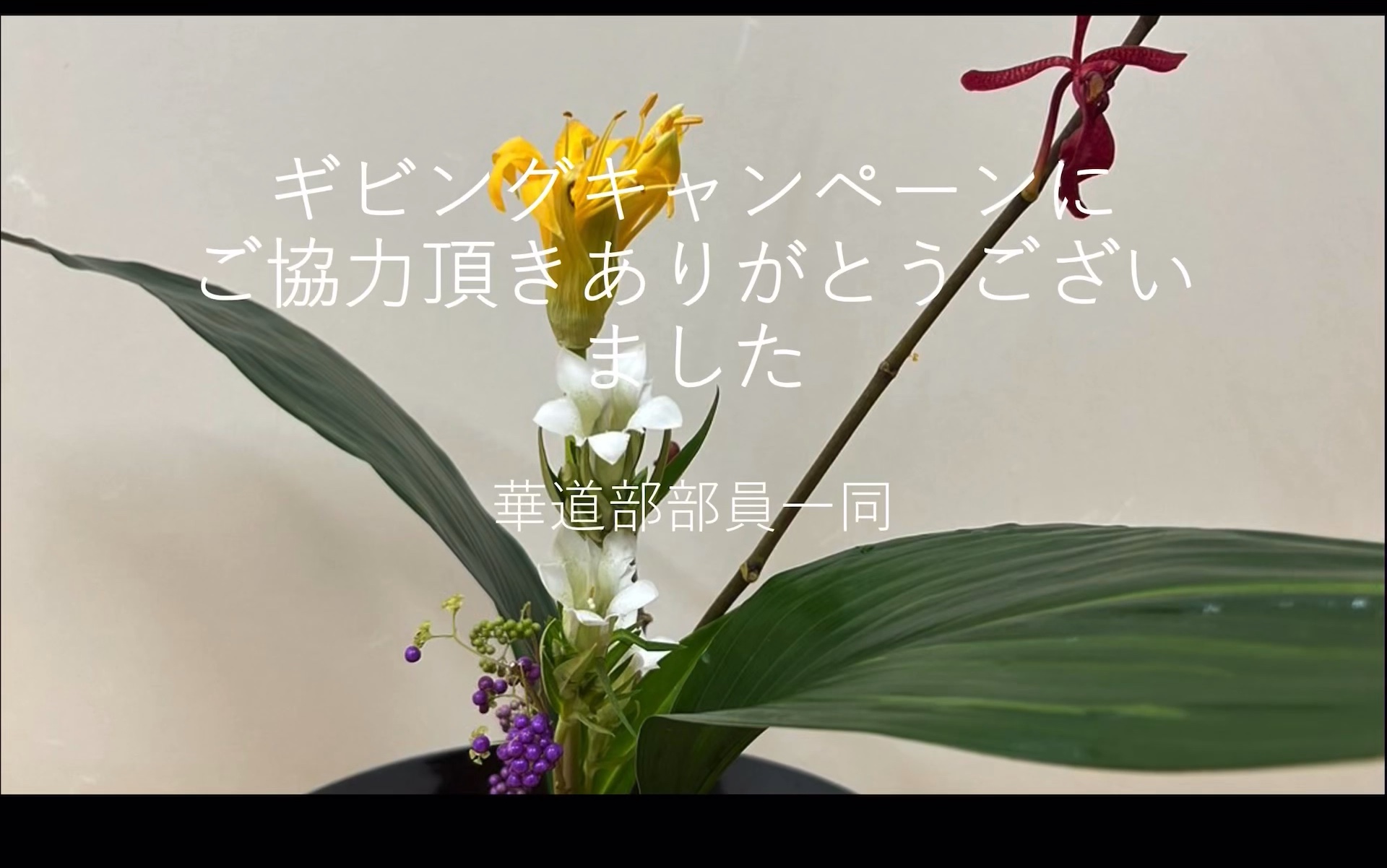 弘前大学　華道部