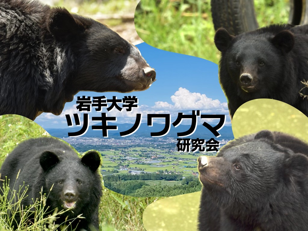 岩手大学ツキノワグマ研究会