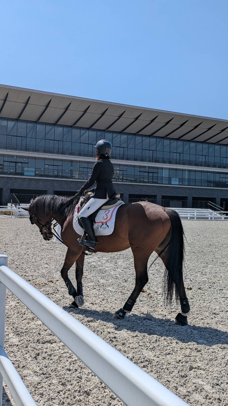 馬術・ホースセラピーサークル