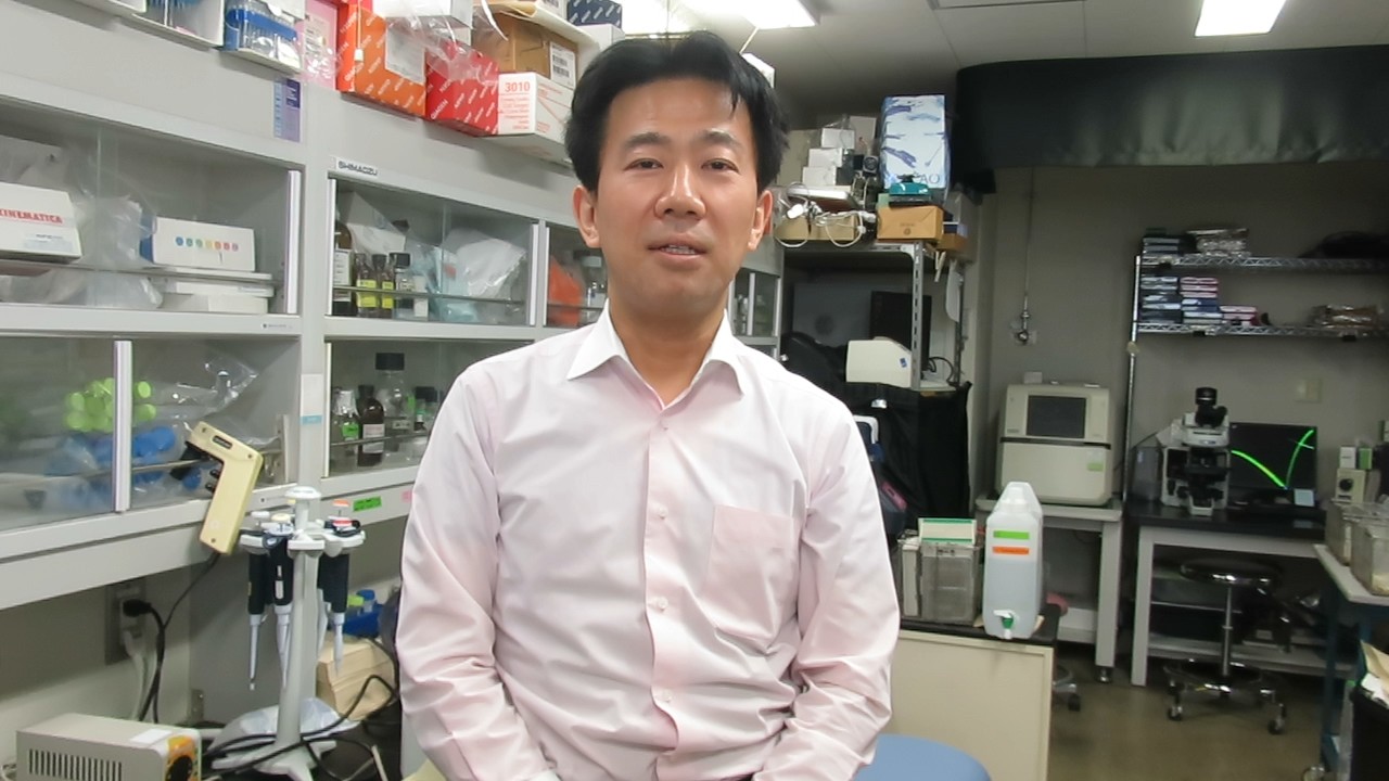 帝京大学医学部内科学講座　腎臓研究室