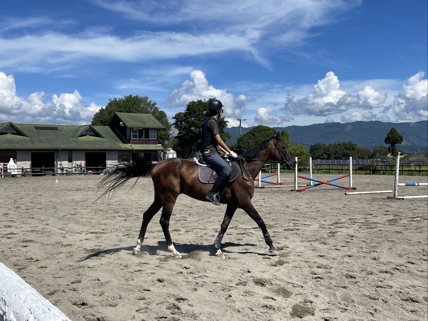 馬術部