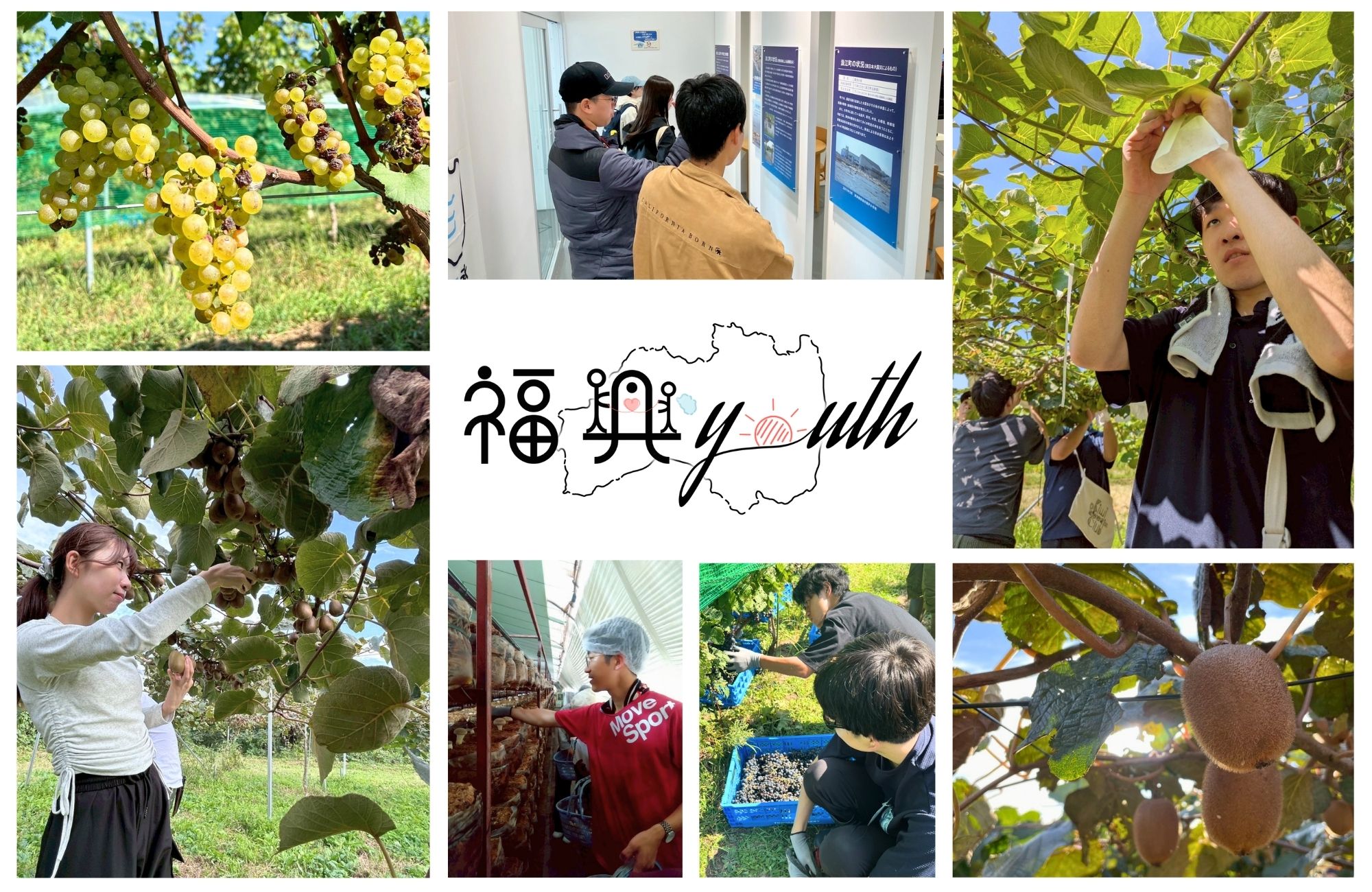 東北大学福興youth
