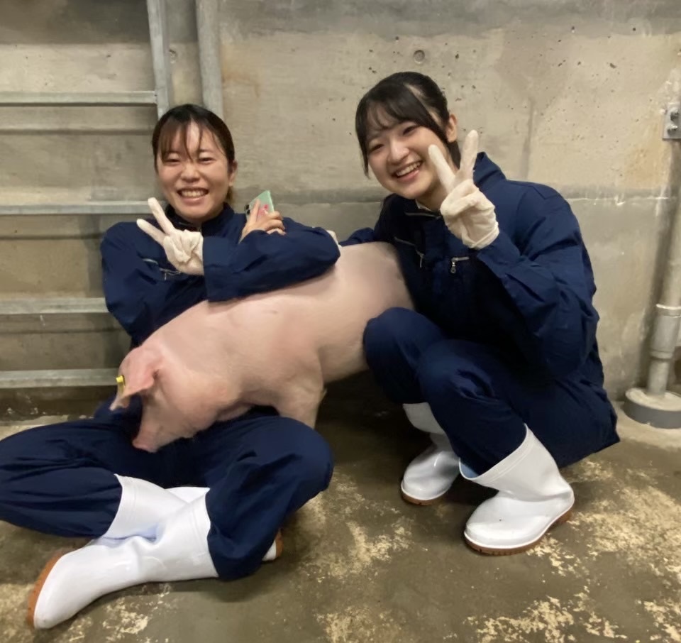 宮崎大学宮大べ〜こんず