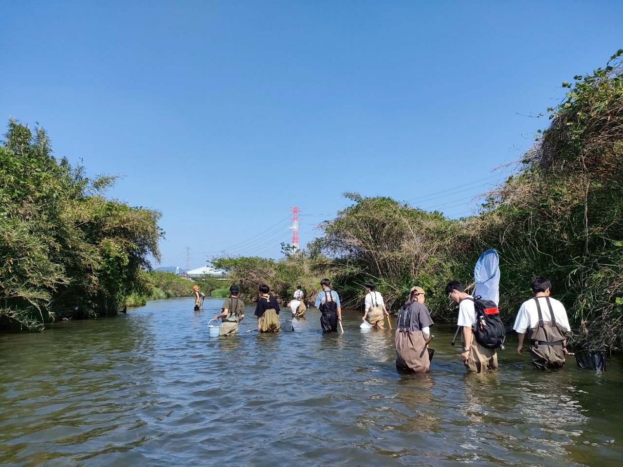 岐阜大学　生物科学研究会