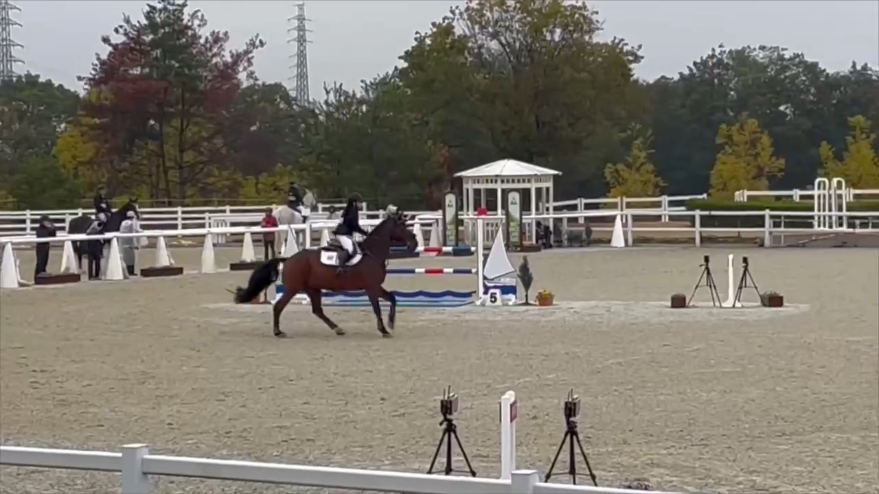 明治大学体育会馬術部