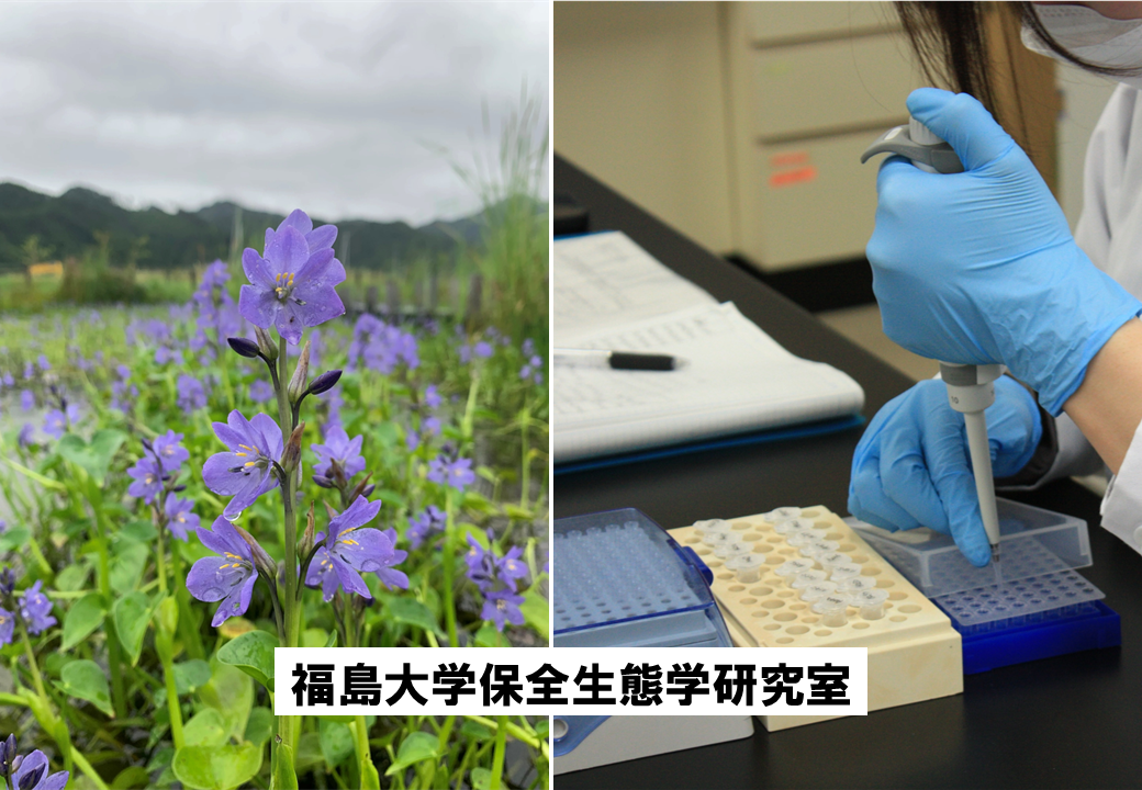 保全生態学研究室