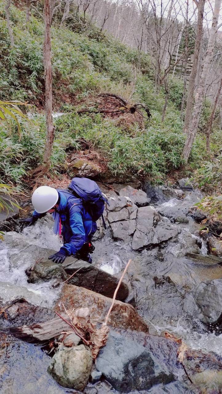 ＜北海道大学＞北大ヒグマ研究グループ