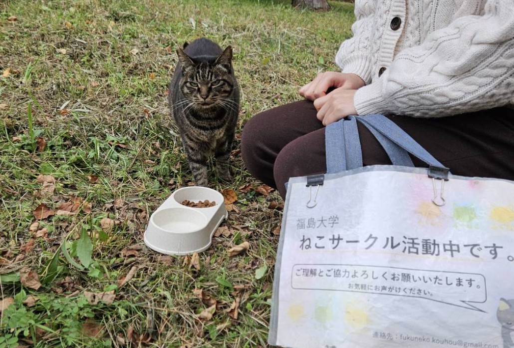 福島大学ねこサークル
