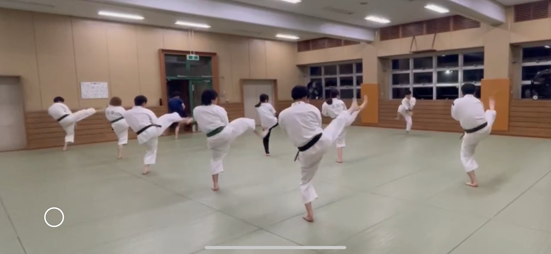 体育会少林寺拳法部