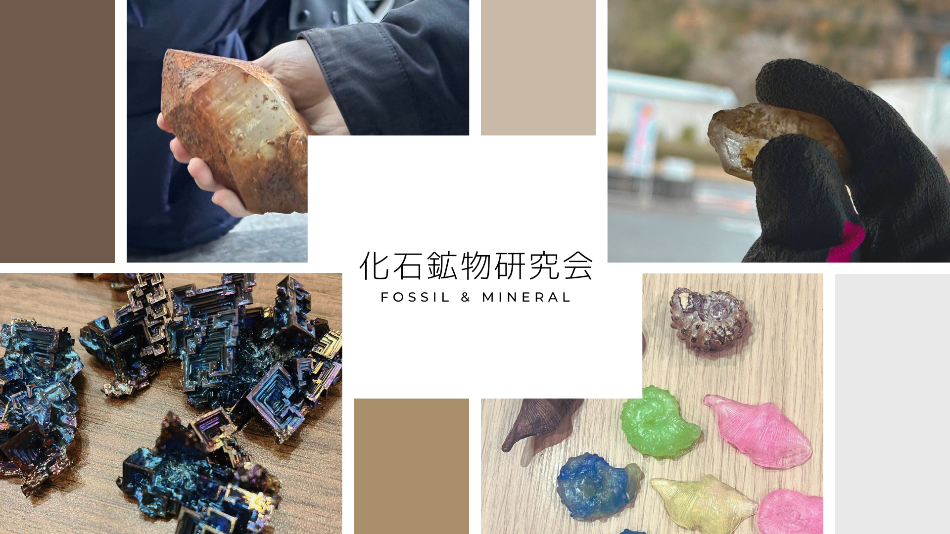 化石鉱物研究会