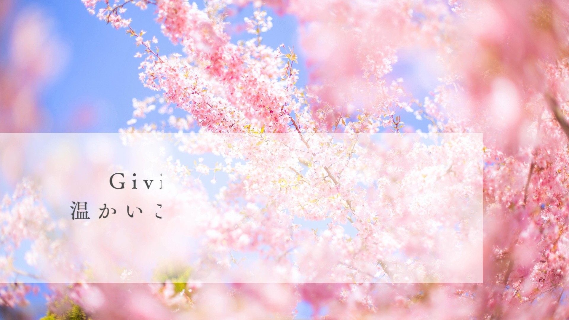 国際保健・地域医療研究会TukTuk