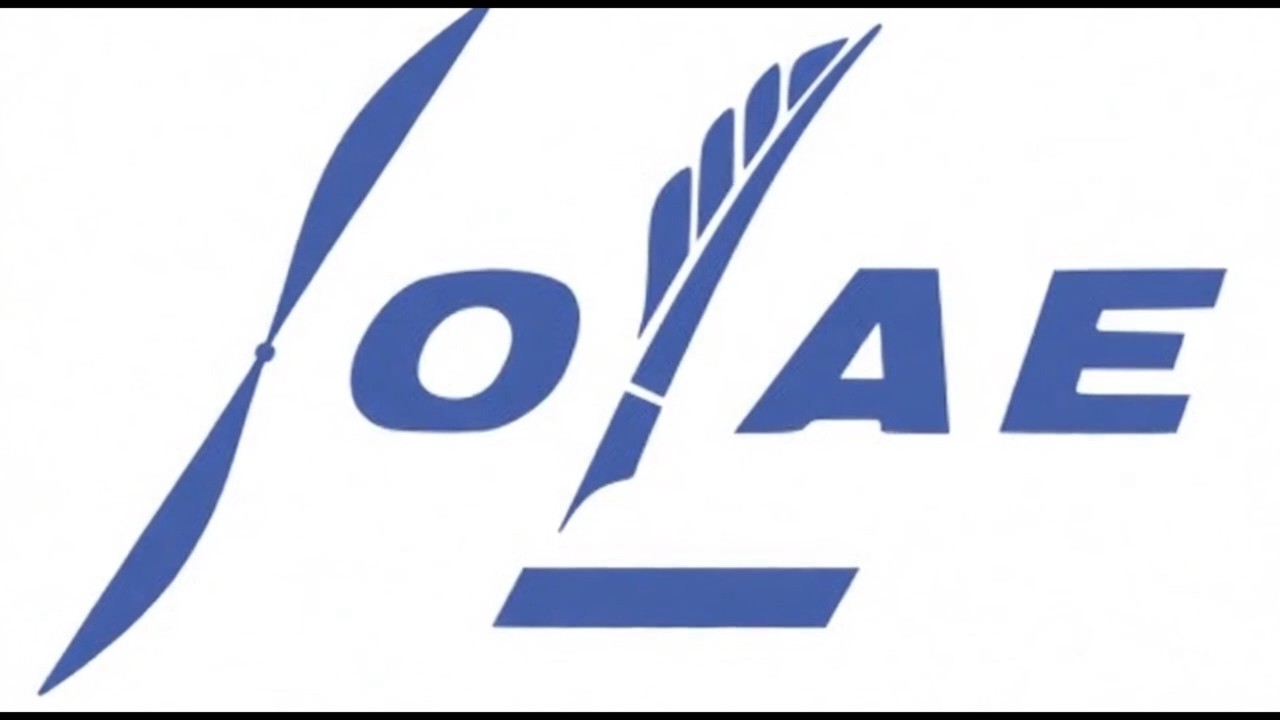 豊田工業大学　鳥人間サークル翼人会SOLAE