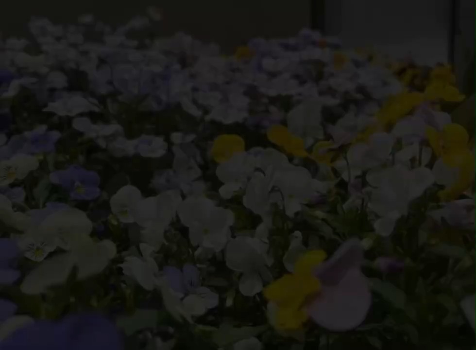 園芸美化ボランティアサークル