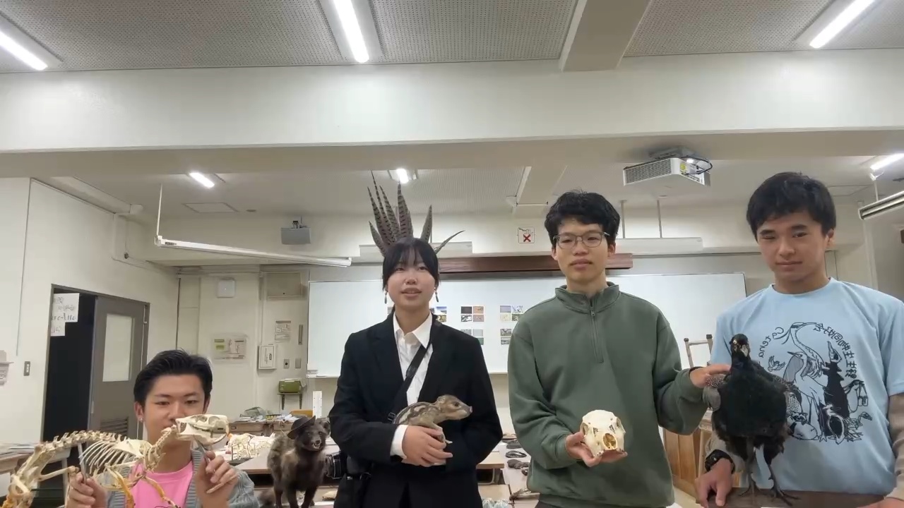 岐阜大学野生生物同好会　カテナビタ