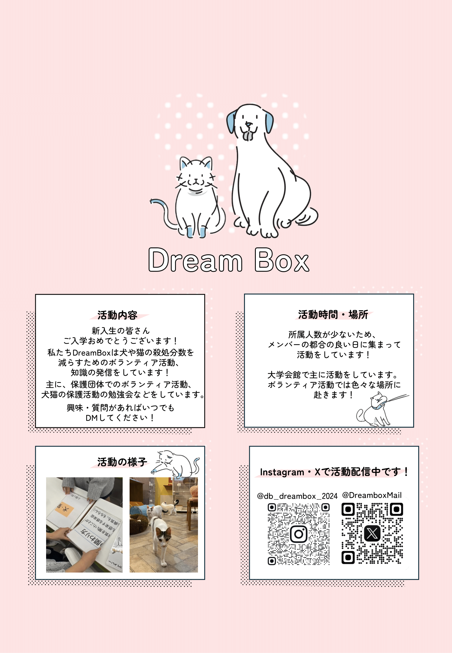 学生団体　Dream Box